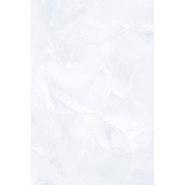 Gạch ốp 30x45 Prime Digit 05.300450.09537